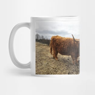 Scottish Highland Cattle Cow 2364 Mug